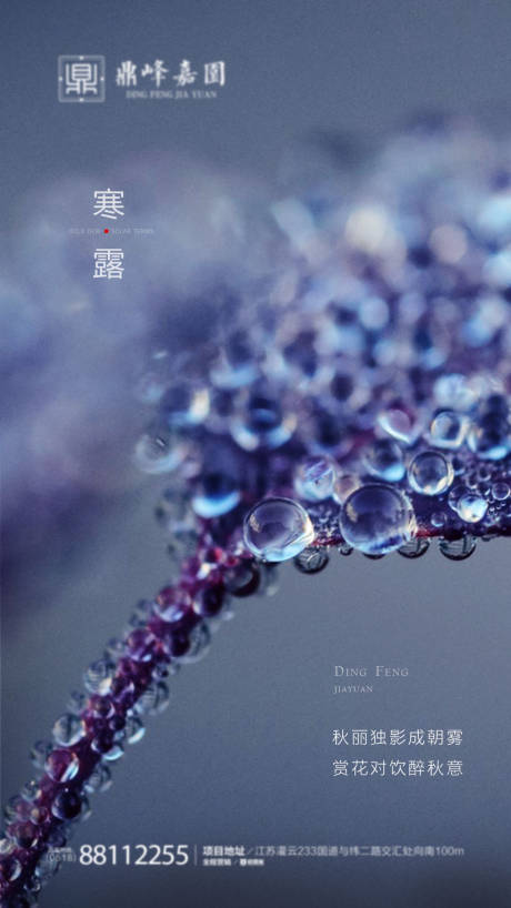 源文件下载【享设计】搜索编号：48080001933147546【寒露节气海报】