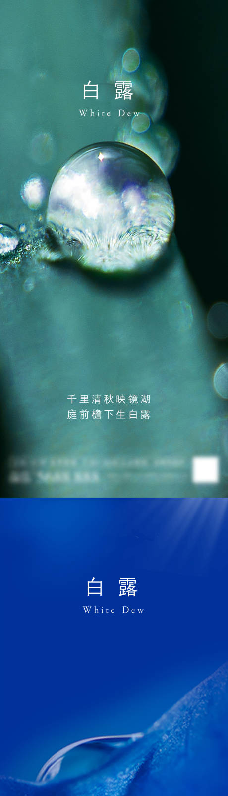 编号：20200926155750805【享设计】源文件下载-白露寒露露珠系列海报