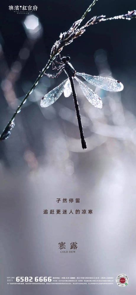 源文件下載【享設計】搜索編號：57770002022774976【地產意境寒露節氣海報】