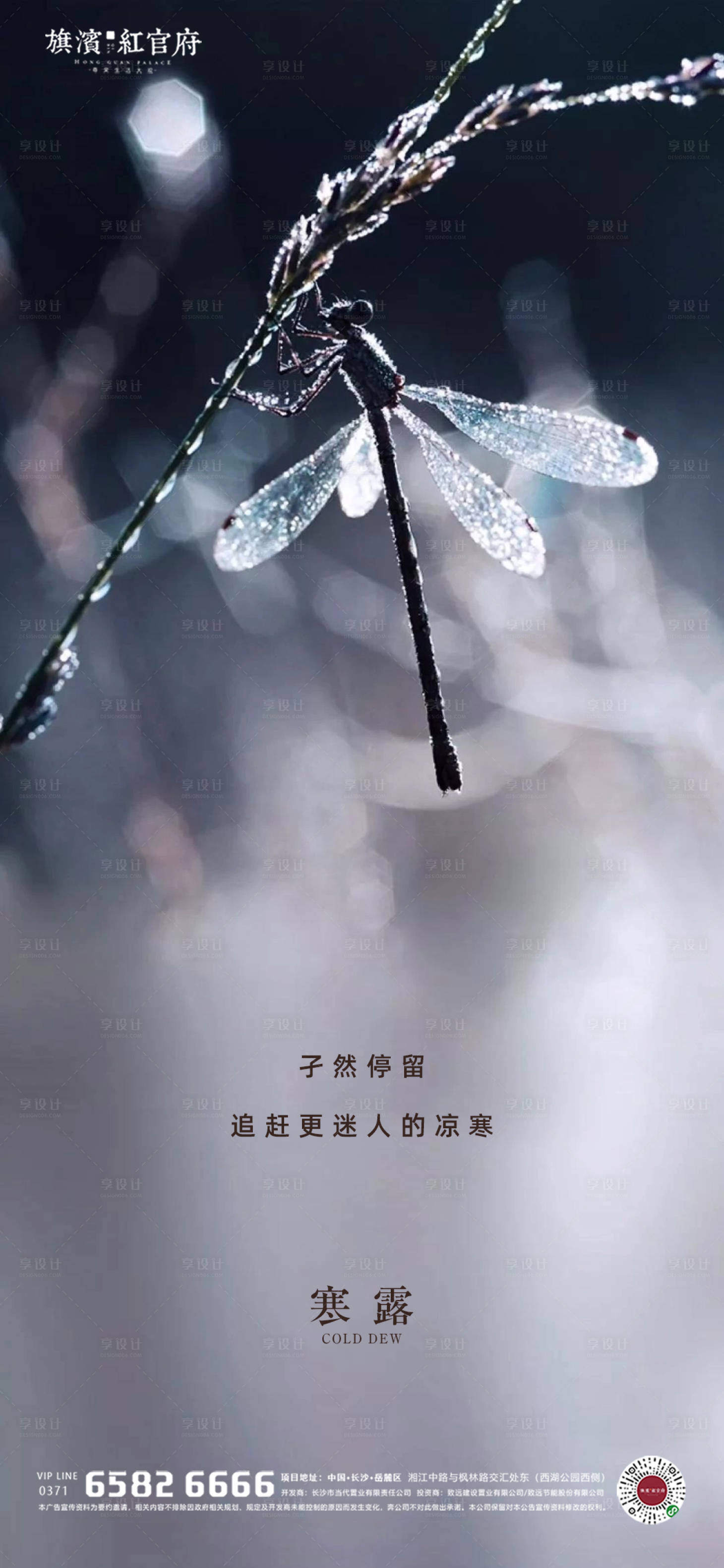源文件下載【享設計】搜索編號：57770002022774976【地產意境寒露節氣海報】
