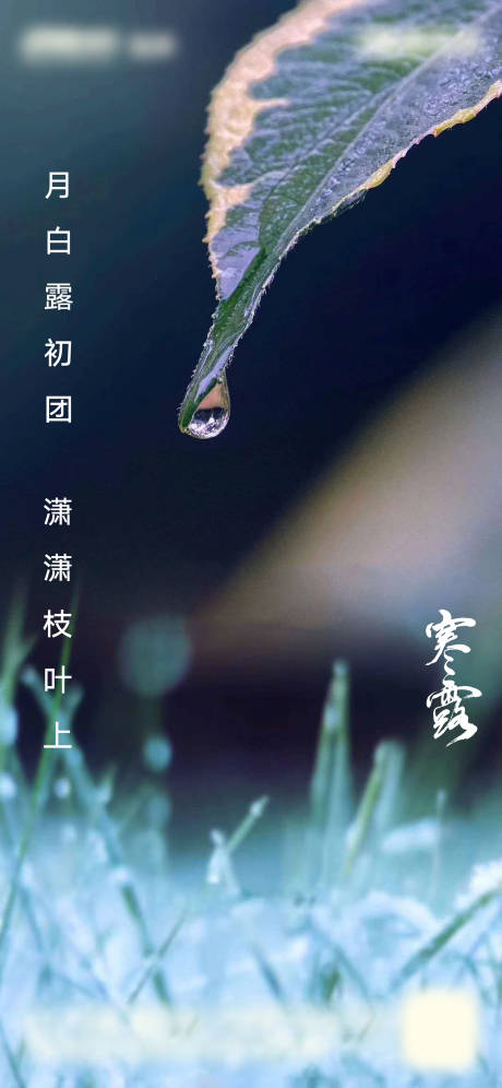 源文件下载【寒露节气海报】编号：20200926124406524