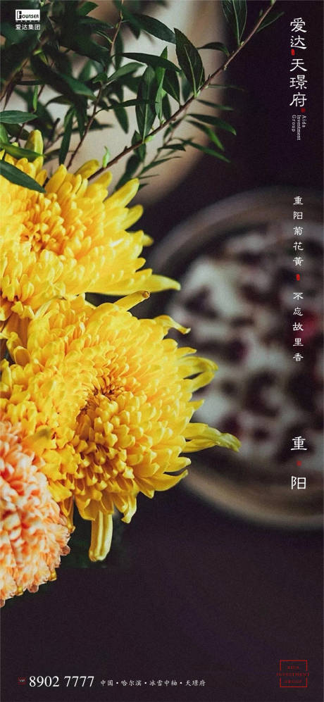 源文件下载【重阳节菊花海报】编号：54030002211927371