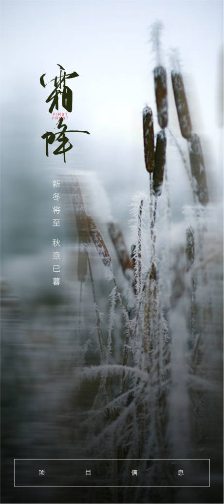 源文件下载【地产霜降节气海报】编号：82790002204737826