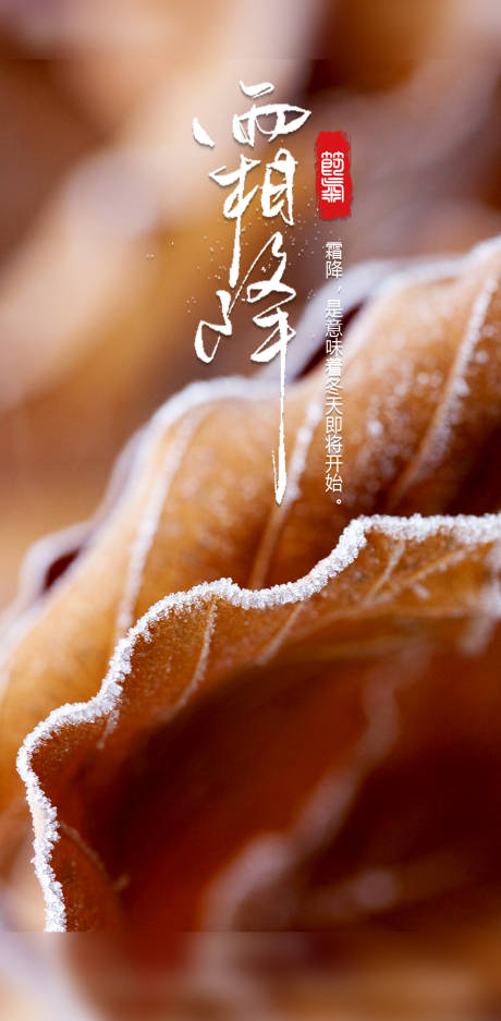 源文件下载【霜降节气移动端海报】编号：58680002316659843