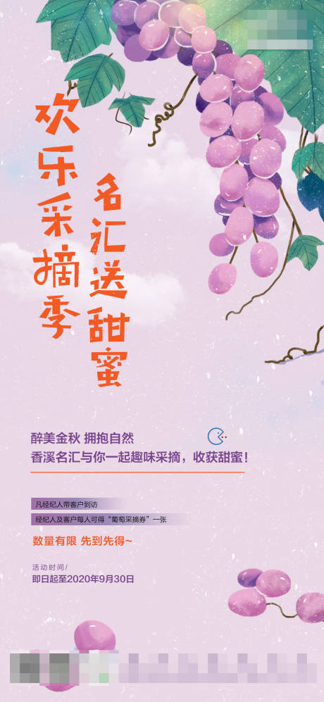 葡萄采摘季