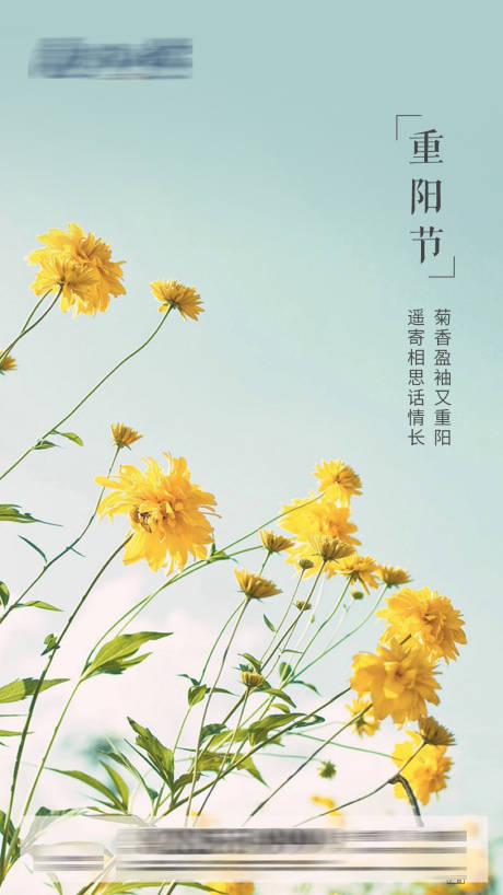 源文件下载【重阳节节日移动端海报】编号：17540002252312927