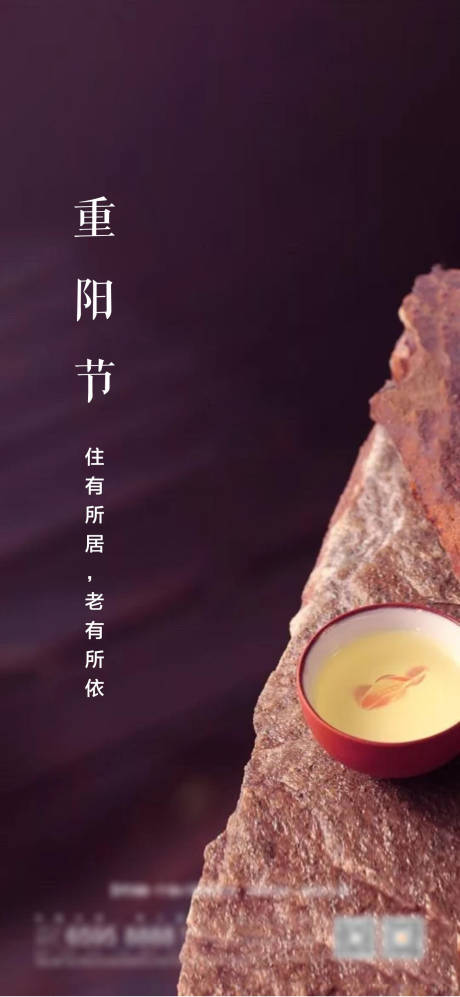 源文件下载【重阳节节气海报】编号：50460002339993763