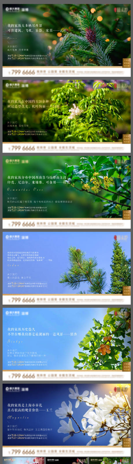 编号：20201007104454091【享设计】源文件下载-园林价值点系列海报