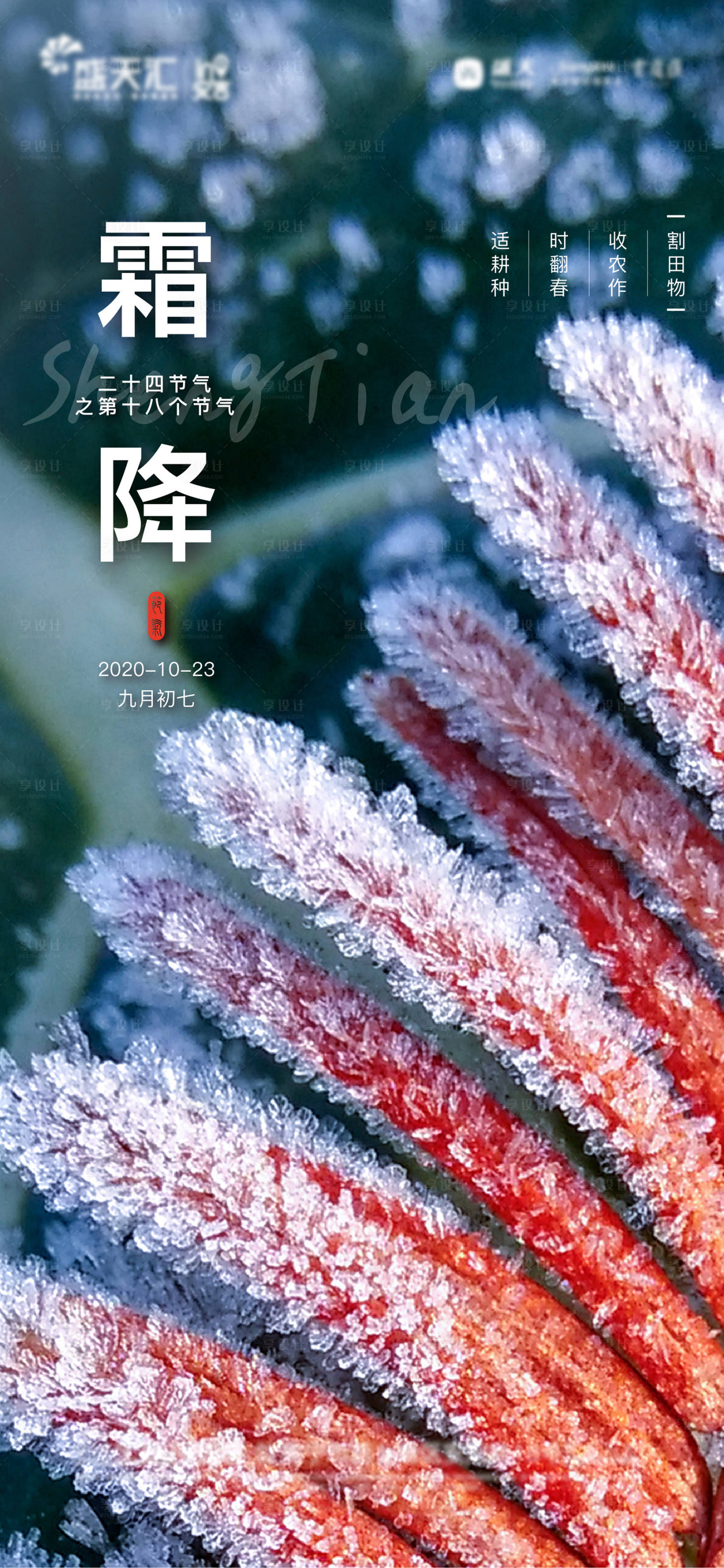 源文件下載【享設計】搜索編號：26680002304257352【地產霜降節氣海報】