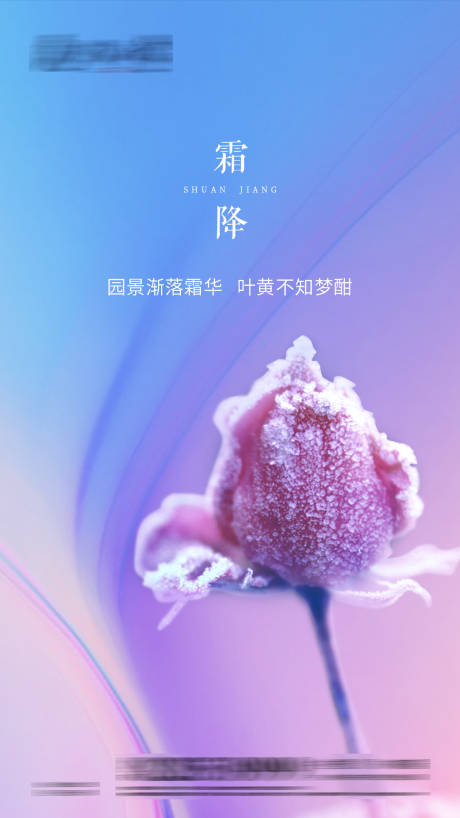 源文件下载【霜降节气移动端海报】编号：70460002252131970