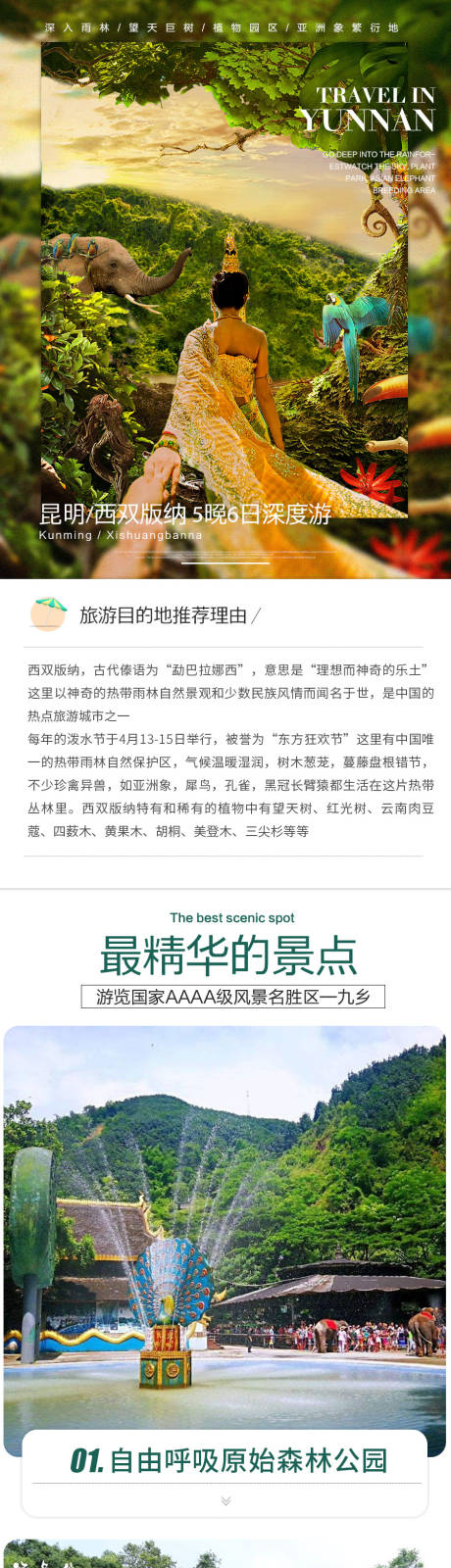源文件下载【云南西双版纳旅游详情页】编号：89260002136111912