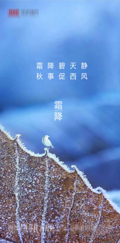 源文件下載【享設計】搜索編號：72390002176034569【地產霜降海報】