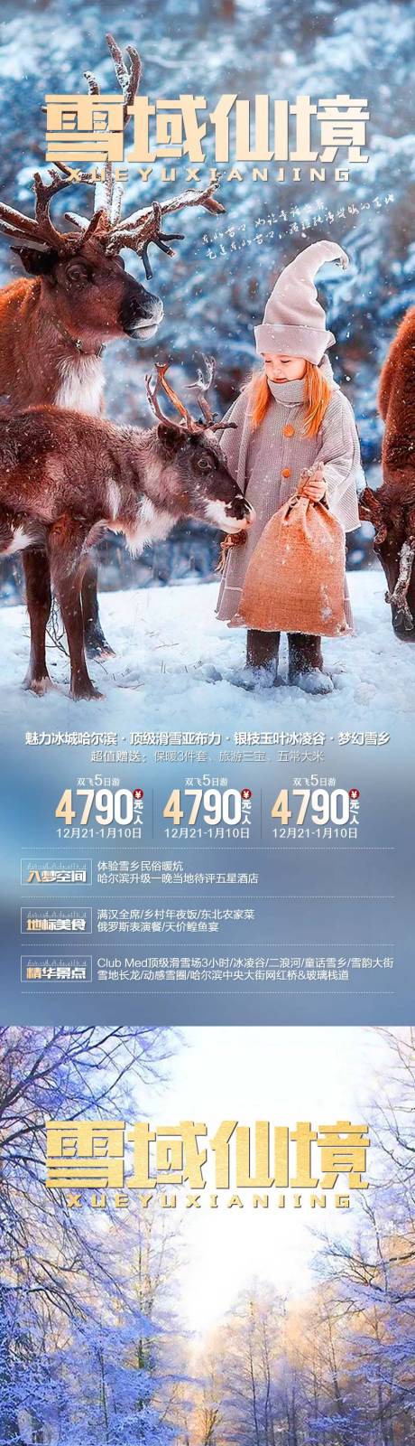 雪域秘境东北旅游海报系列-源文件【享设计】