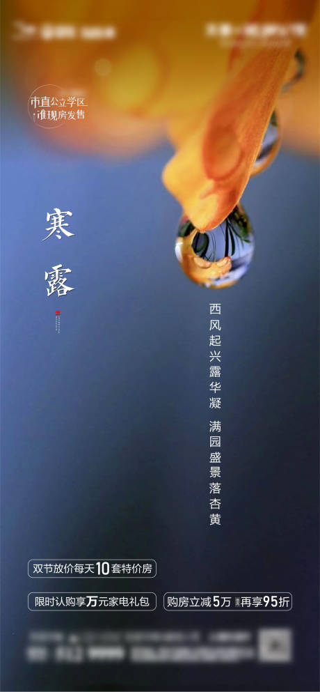 源文件下载【地产寒露节气海报】编号：39140002180735836