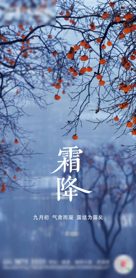 源文件下載【霜降節(jié)氣單圖】編號(hào)：53390002289269994