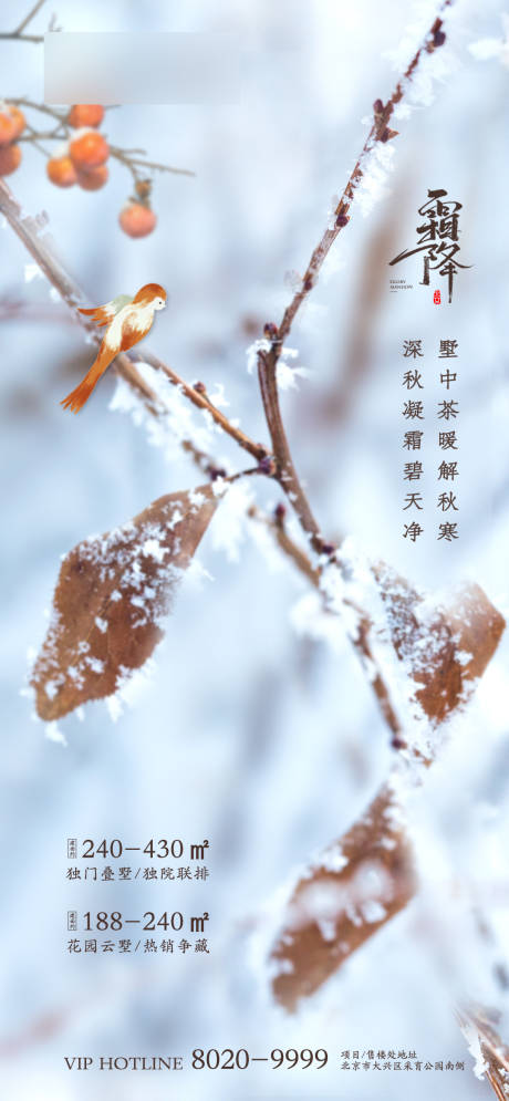 源文件下载【霜降节气海报】编号：20201019113359467