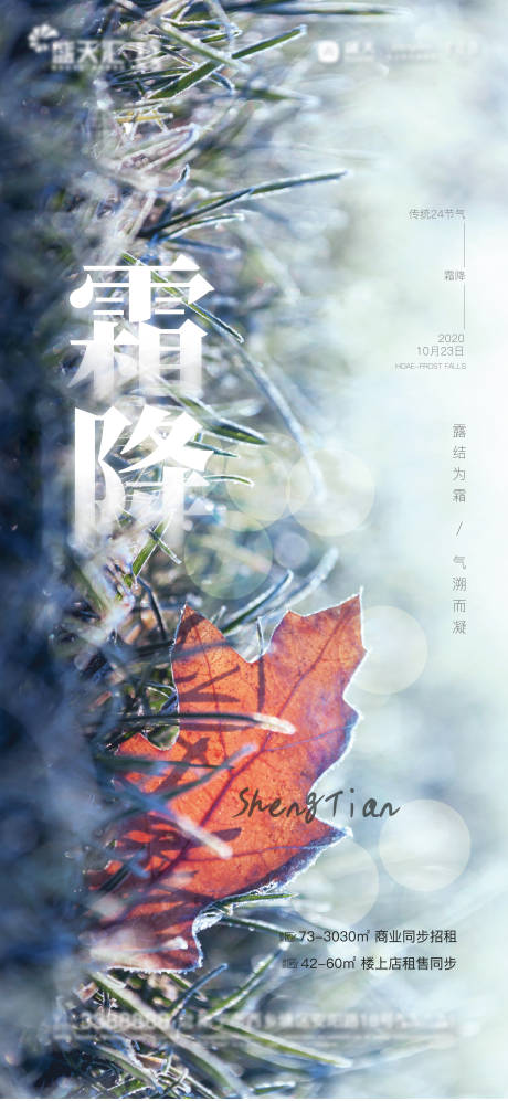 源文件下载【地产霜降节气海报】编号：20300002224111275