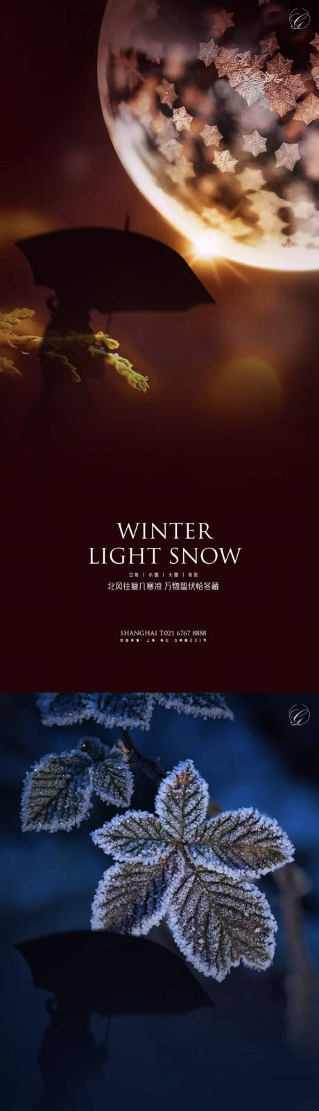 源文件下载【立冬小雪大雪冬至冰花系列海报】编号：45670002414423938