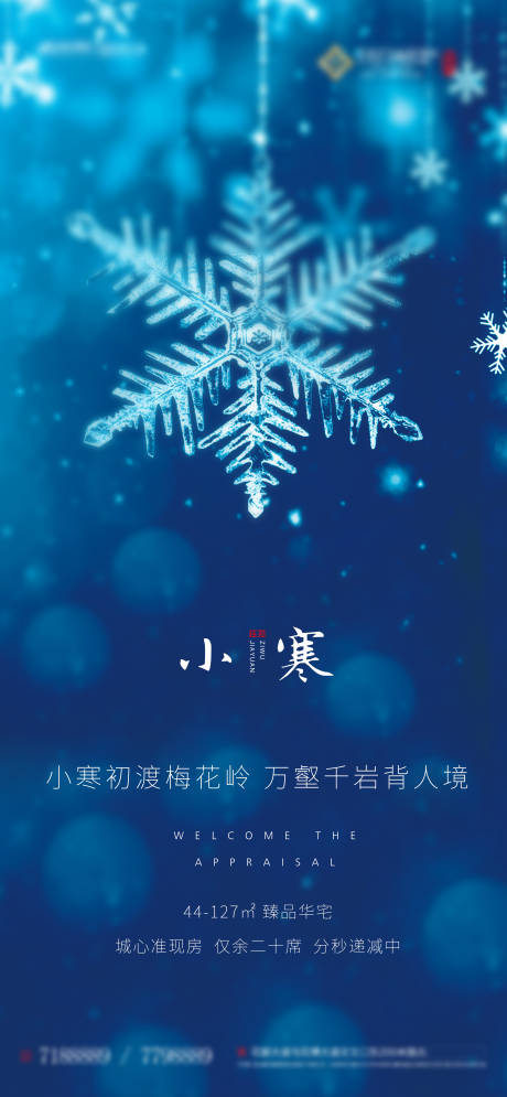 源文件下载【地产小寒节气海报】编号：13330002273087058