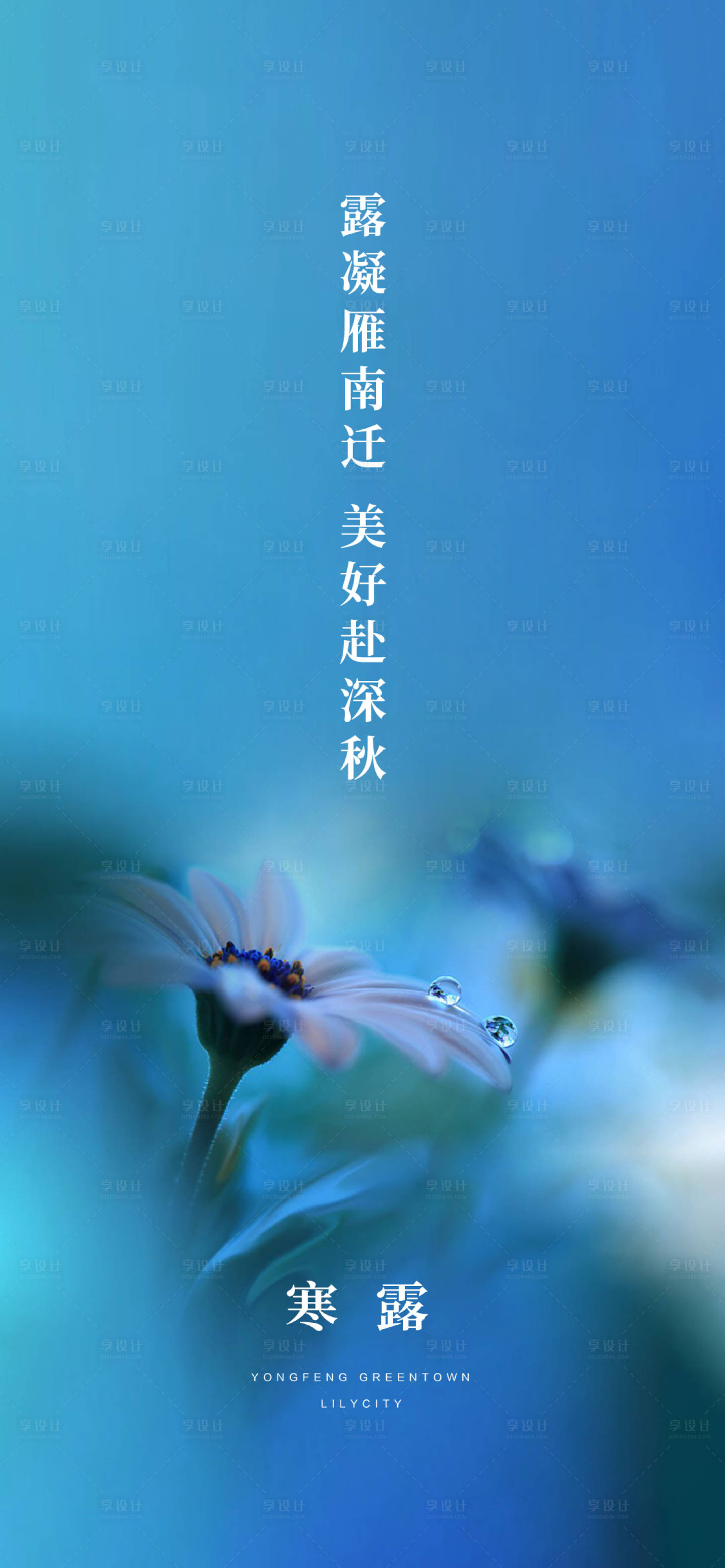 源文件下載【寒露節(jié)氣移動(dòng)端海報(bào)】編號(hào)：85010002264249528