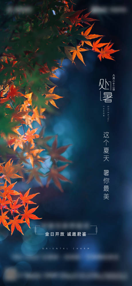 源文件下载【地产处暑海报】编号：63530002240906281