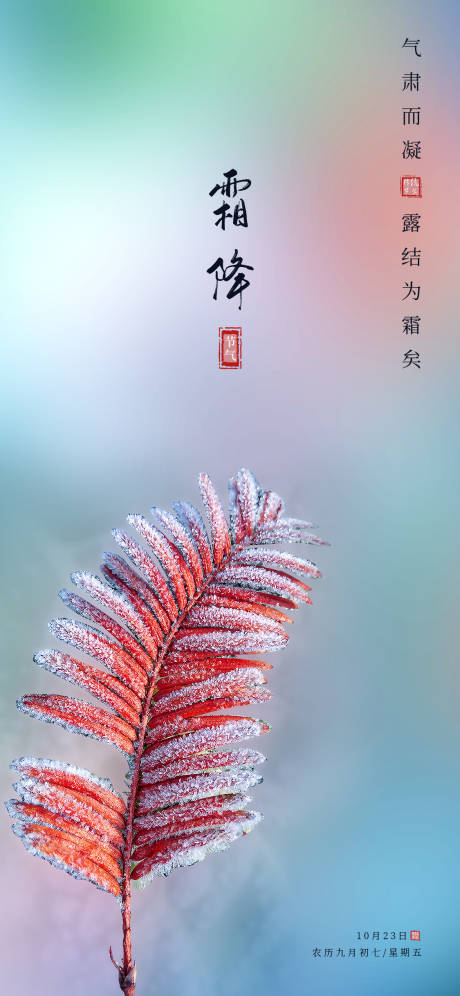 源文件下载【霜降节气海报】编号：65470002173806712