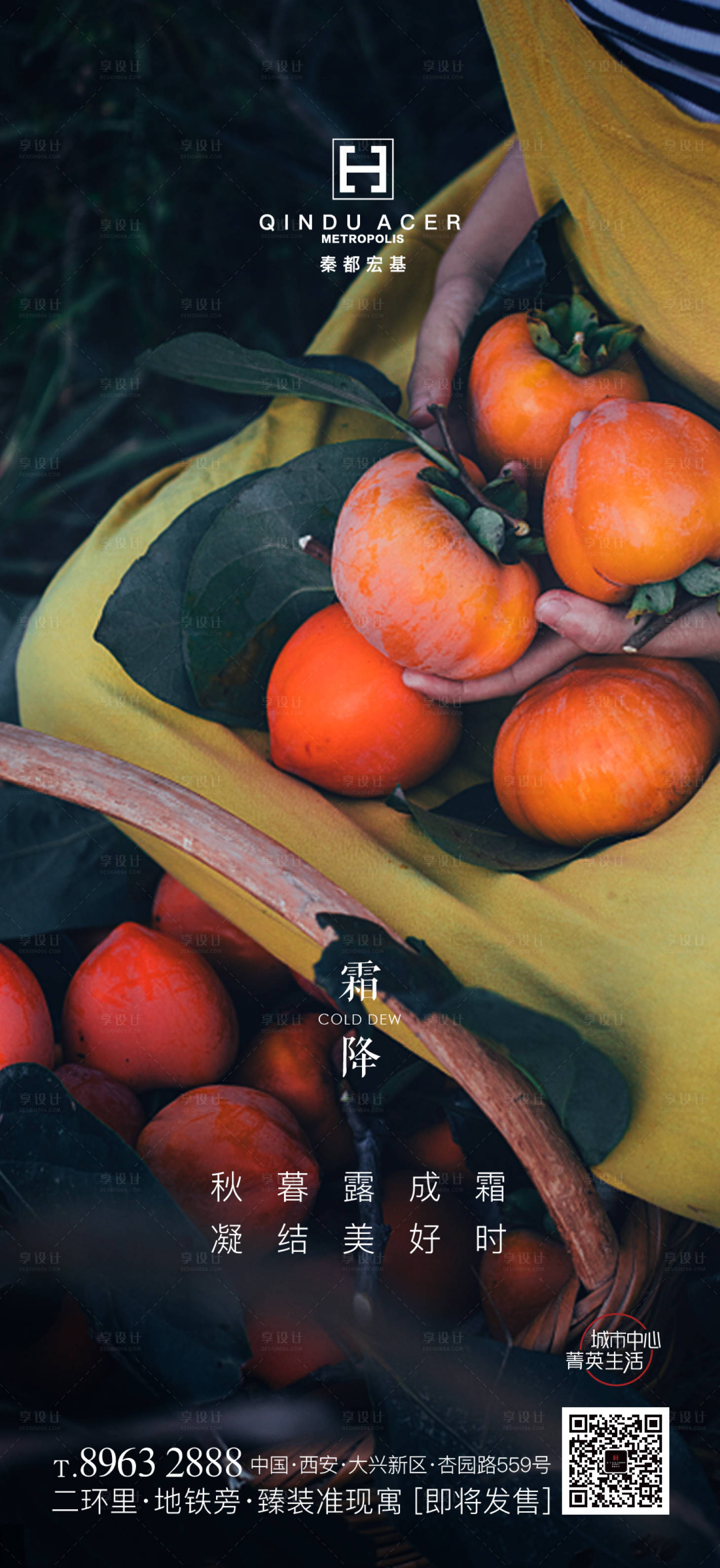 源文件下载【二十四节气霜降海报】编号：65540002281796753