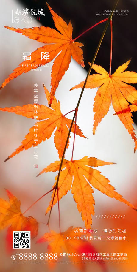 源文件下载【房地产二十四节气霜降电商简约】编号：71190002290352431