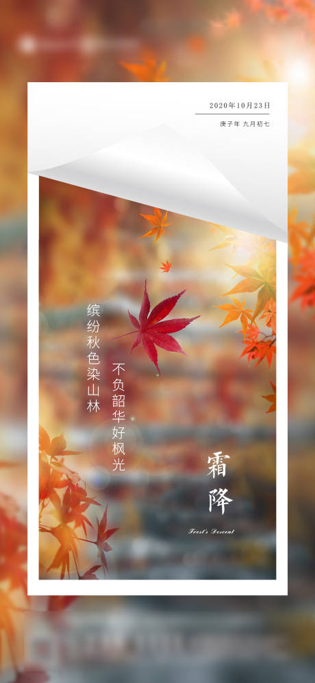 源文件下载【霜降节气海报】编号：11910002312174955