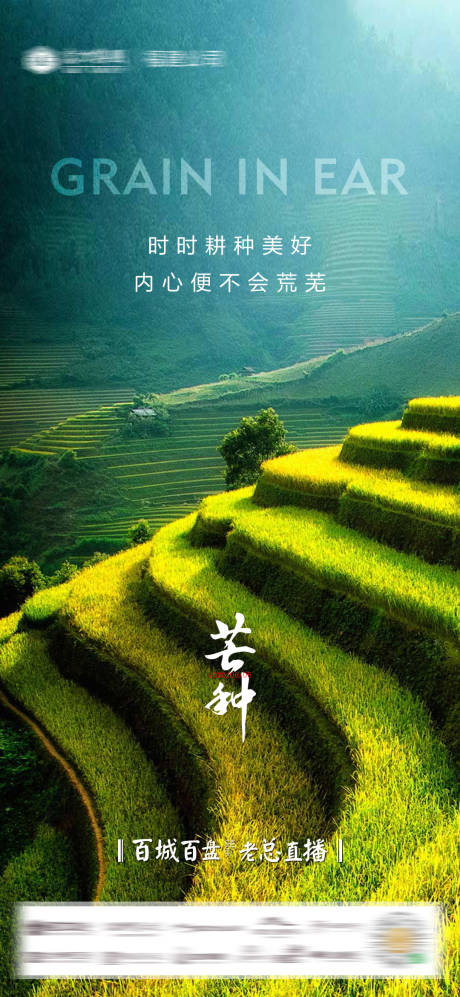源文件下載【享設計】搜索編號：88640002260171845【地產芒種微單海報】
