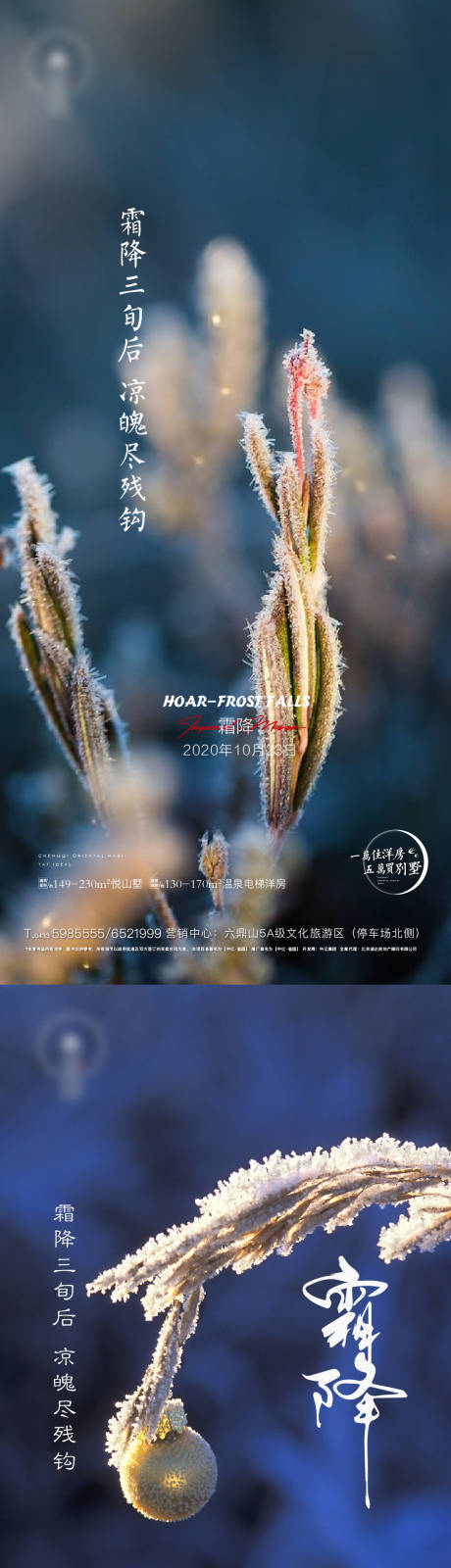 源文件下载【房地产霜降节气系列海报】编号：20450002195546155