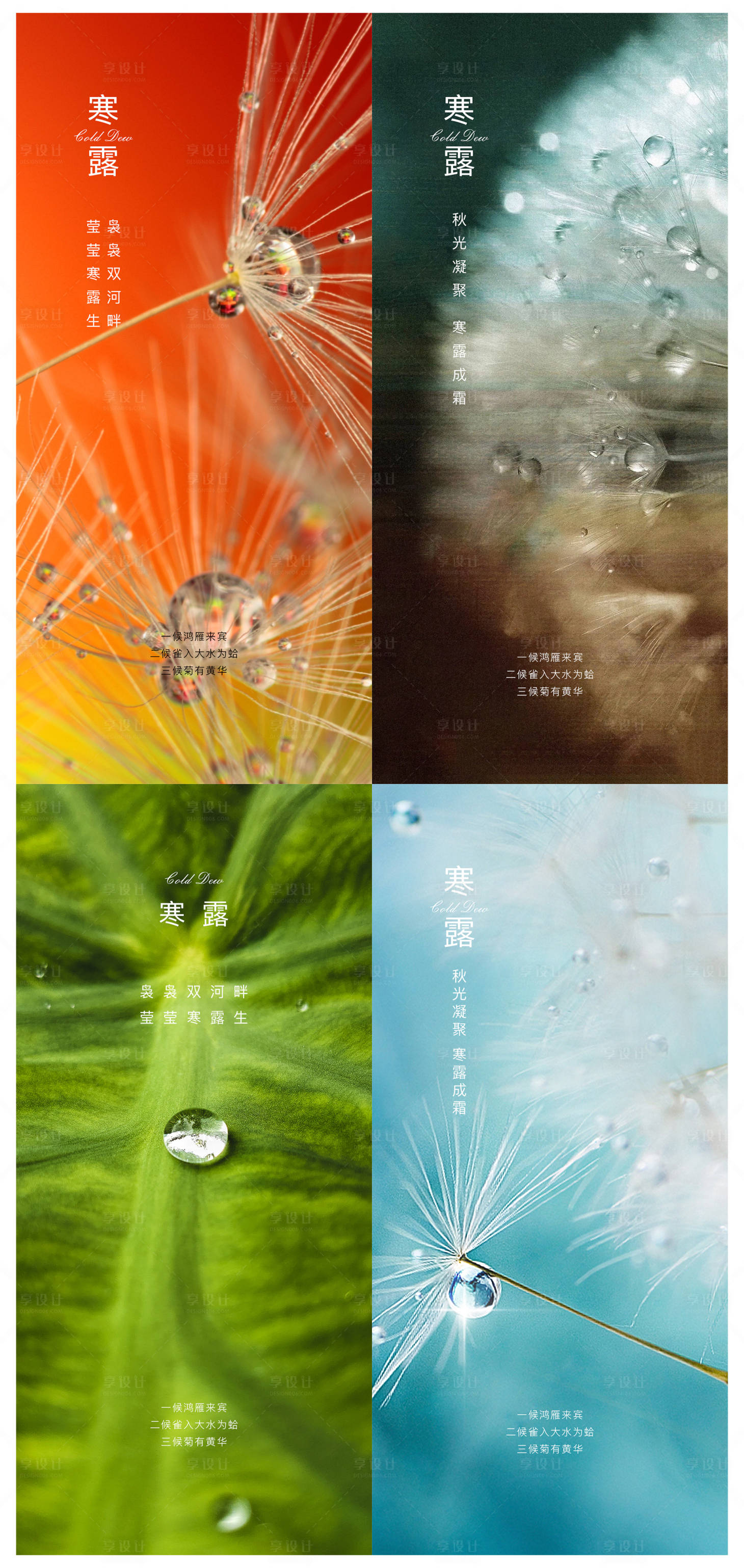 源文件下載【享設計】搜索編號：69960002149693895【寒露節氣海報】