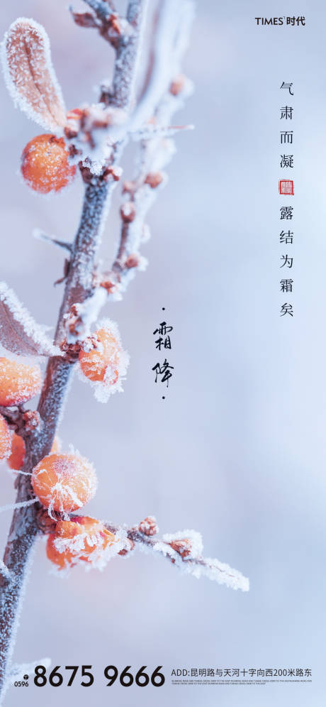 源文件下載【霜降節氣海報】編號：33000002247105088