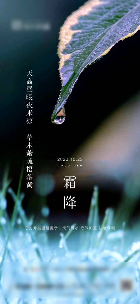 源文件下载【霜降节气海报】编号：15130002278571721