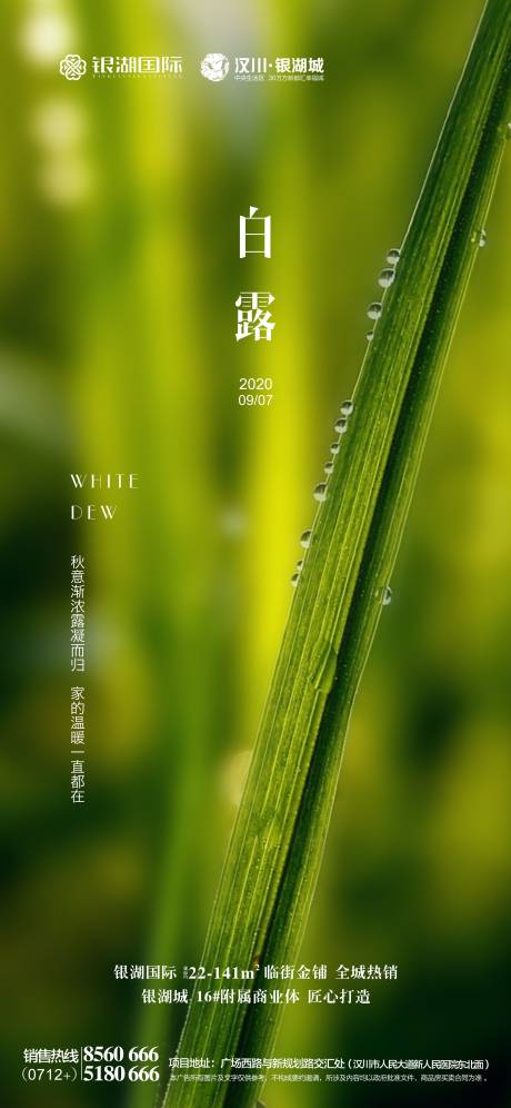 源文件下載【享設計】搜索編號：94230002223717566【白露節(jié)氣海報】