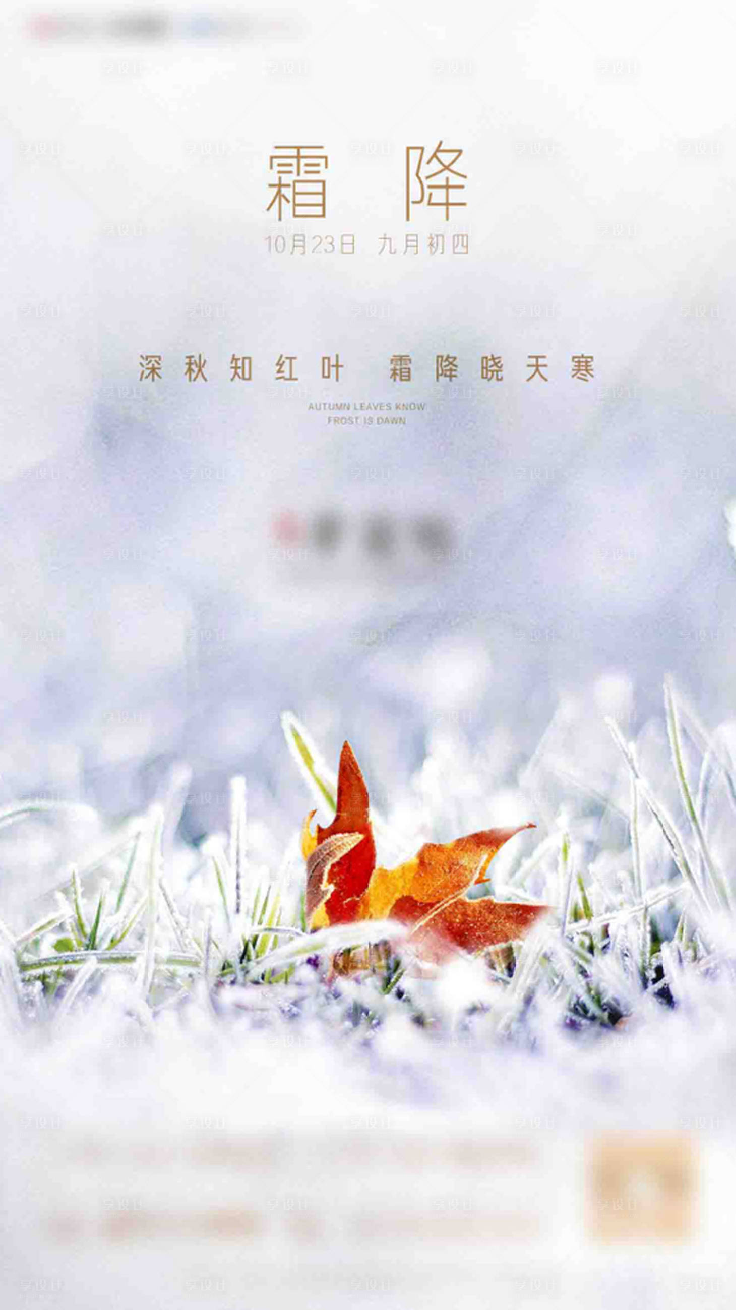 源文件下载【霜降节气移动端海报】编号：16050002188725814