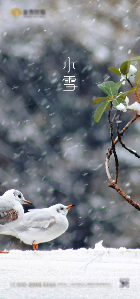 源文件下载【大气简约小雪传统节气海报】编号：20201111154531553