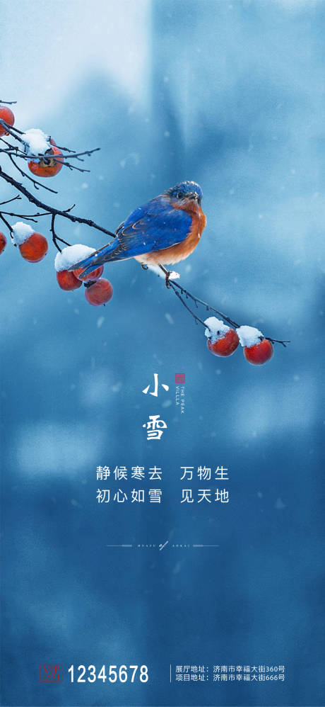 源文件下载【小雪节气海报】编号：95300002565455857