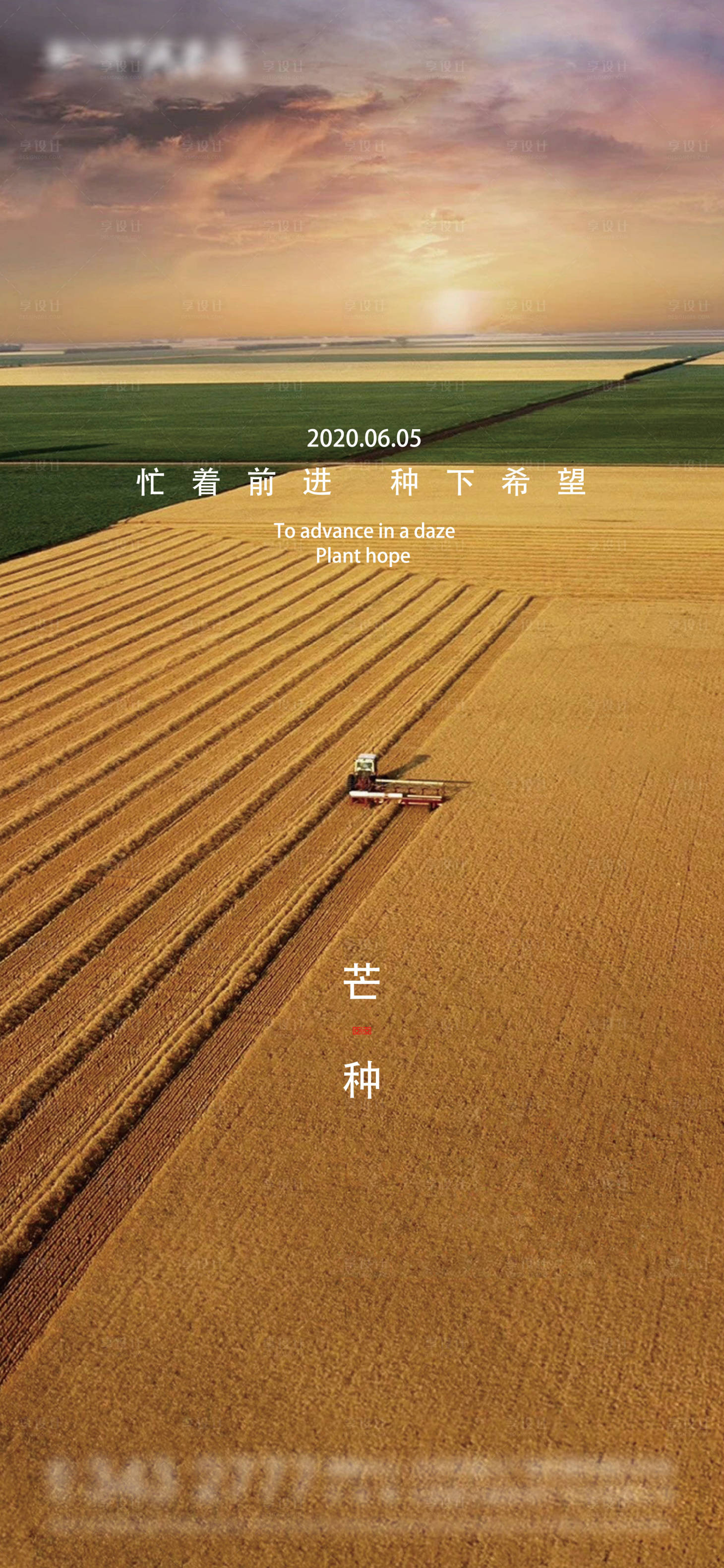 源文件下載【享設計】搜索編號：37140002504658311【芒種節氣海報】