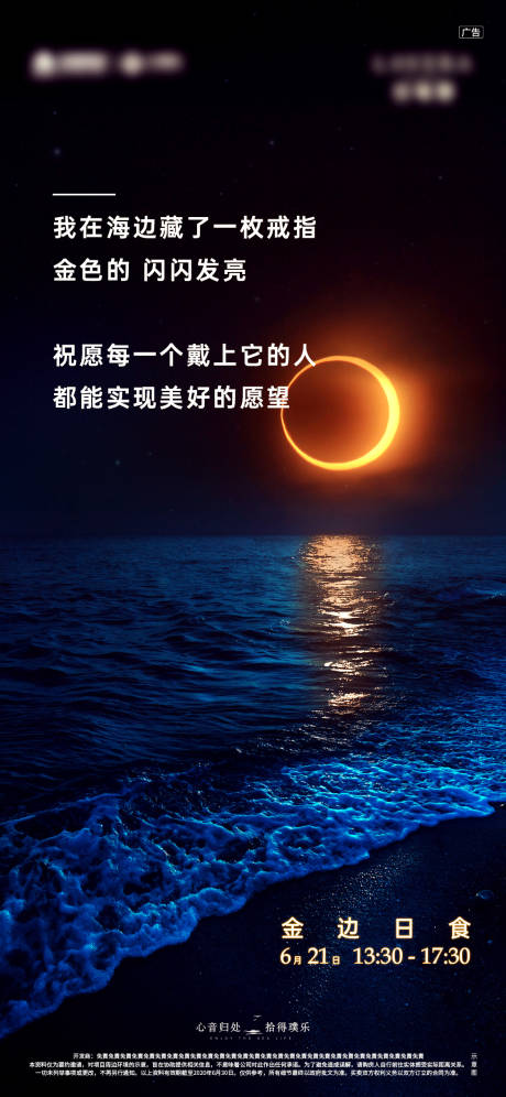 金边日食海边海报