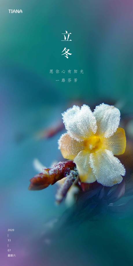 源文件下載【享設計】搜索編號：19870002485395580【立冬節氣海報】