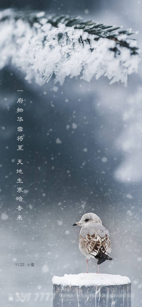 源文件下载【小雪节气地产海报】编号：50950002617947734