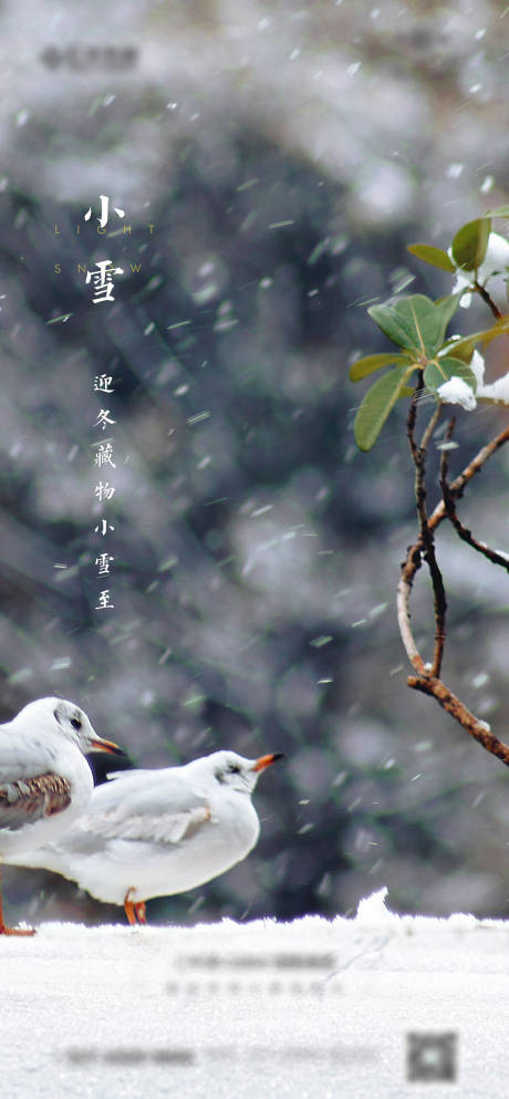 编号：20201109155906990【享设计】源文件下载-房地产小雪海报