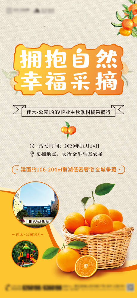 源文件下载【柑橘采摘海报】编号：49430002618982505