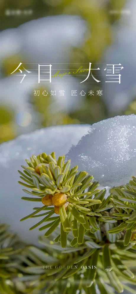 源文件下载【大雪海报】编号：20201123175625700