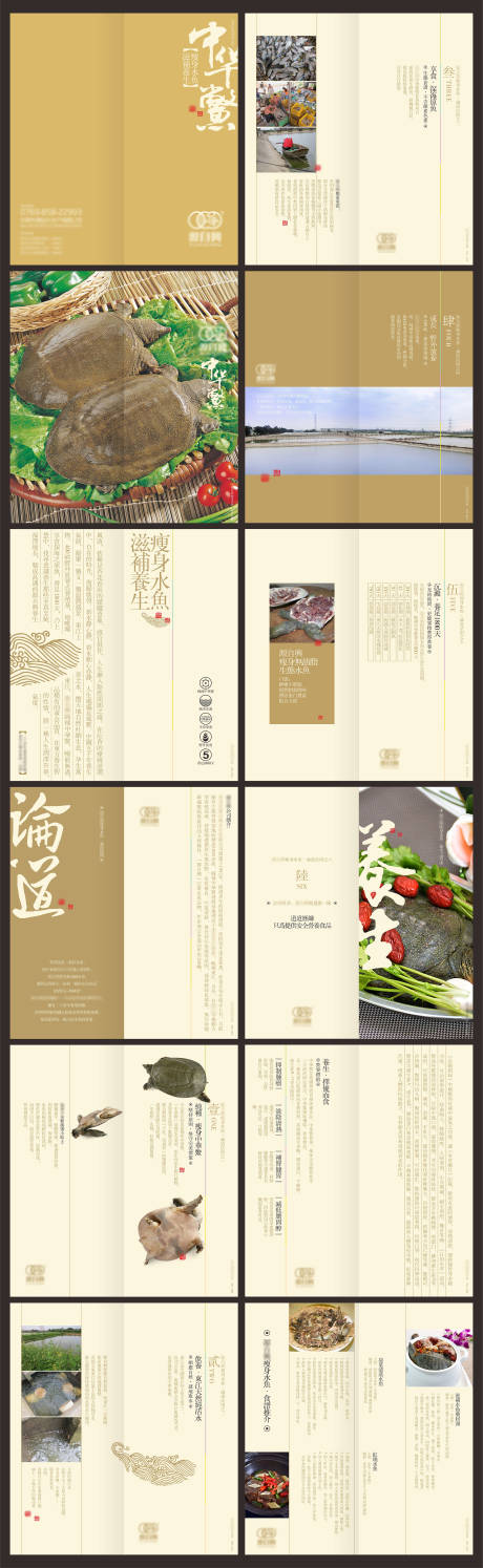 源文件下载【中式水鱼中华鳖画册】编号：84770002708532260