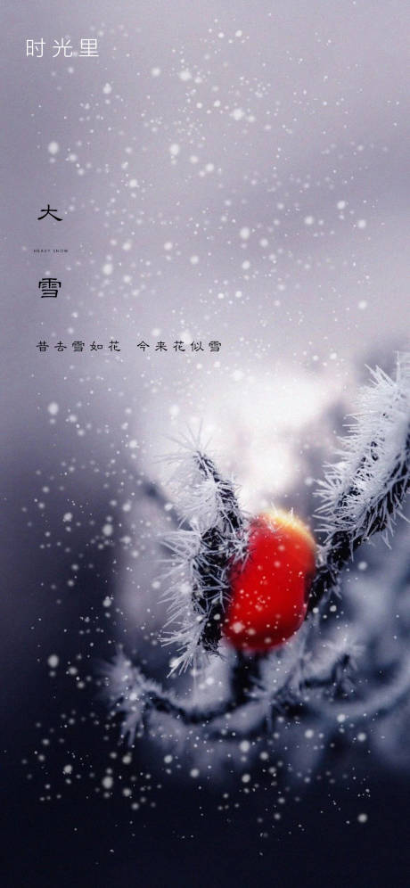 源文件下载【享设计】搜索编号：39900002664525165【大雪节气海报】