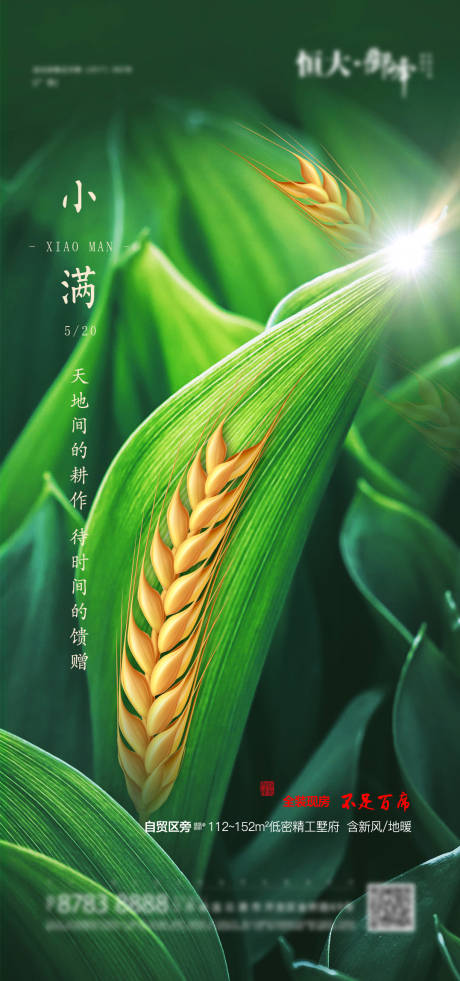 源文件下载【小满节气海报】编号：90800002584179071