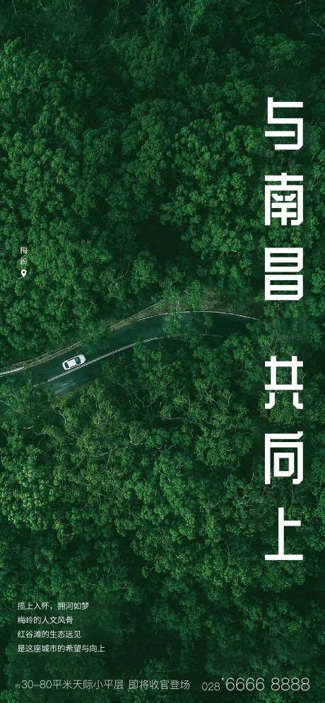 森林原生态海报