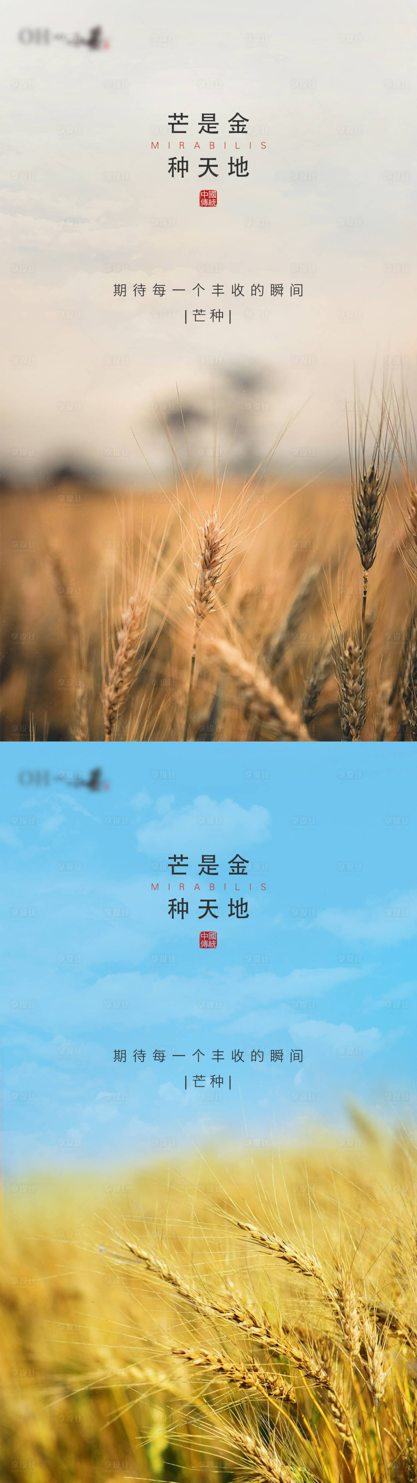 源文件下载【享设计】搜索编号：72480002914022199【地产芒种节气系列海报】
